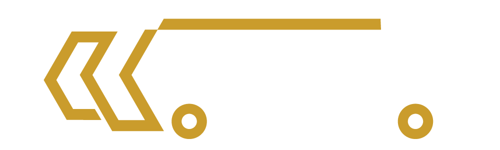 Lapidot logo
